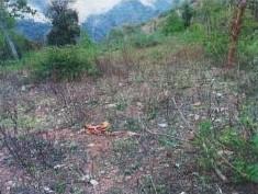 Dhankuta Municipality Wada No. 8, Dhankuta 4